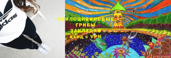 молекула духа Горняк