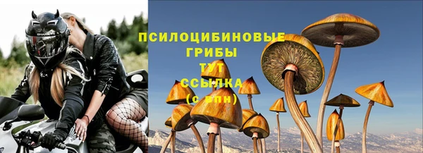 молекула духа Горняк