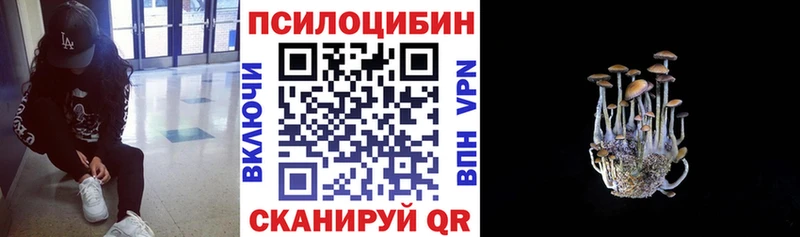 Псилоцибиновые грибы MAGIC MUSHROOMS  Шахты 